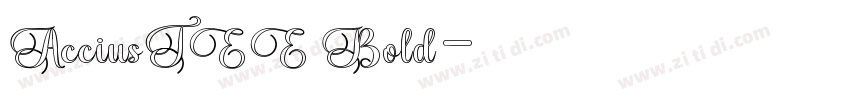 AcciusTEE Bold字体转换